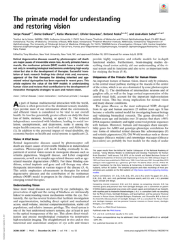 The Primate Model for Understanding and Restoring Vision