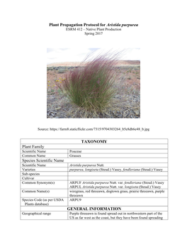 Plant Propagation Protocol for Aristida Purpurea TAXONOMY Plant