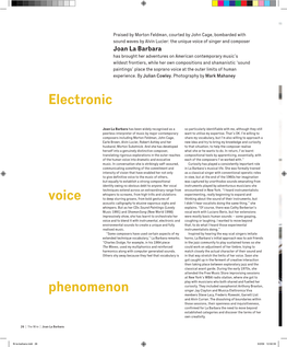 Voice Phenomenon Electronic