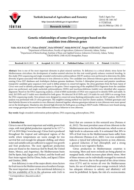Genetic Relationships of Some Citrus Genotypes Based on the Candidate Iron Chlorosis Genes
