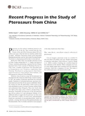 Recent Progress in the Study of Pterosaurs from China
