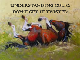 Understanding Colic: Don't Get It Twisted