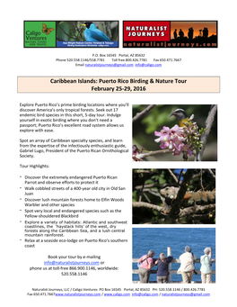 Puerto Rico Birding & Nature Tour February 25-29, 2016