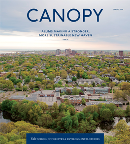 Canopy, Spring 2019 (PDF)