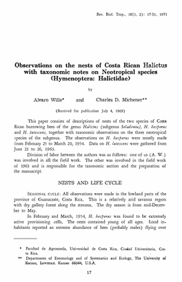 Observations on the Nests of Costa Rican Halictus with Taxonomic Notes on N Eotropical Species (Hymenoptera: Halictidae)