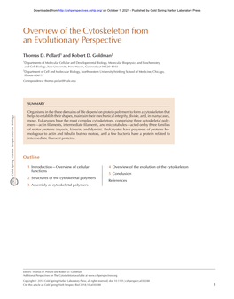 Overview of the Cytoskeleton from an Evolutionary Perspective