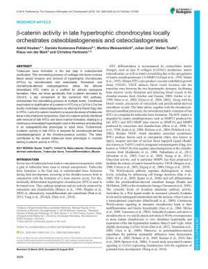 Β-Catenin Activity in Late Hypertrophic Chondrocytes Locally Orchestrates
