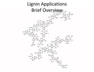 Overview of Lignin Applications