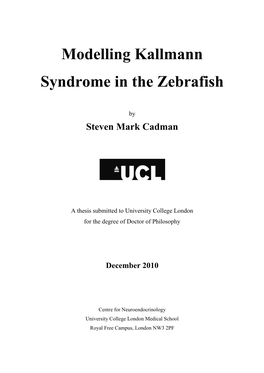 Modelling Kallmann Syndrome in the Zebrafish