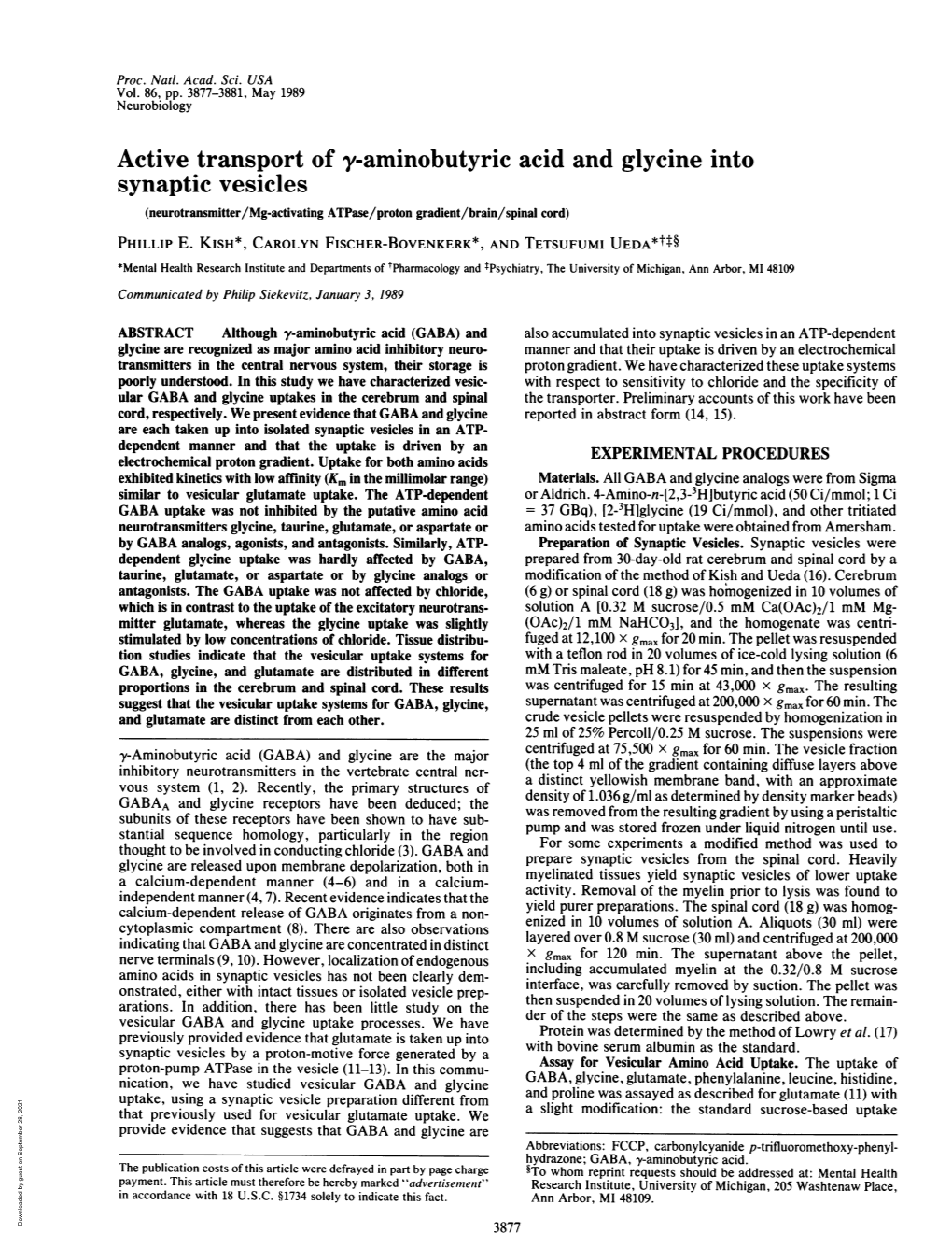 Active Transport of Y-Aminobutyric Acid and Glycine Into Synaptic Vesicles (Neurotransmitter/Mg-Activating Atpase/Proton Gradient/Brain/Spinal Cord) PHILLIP E