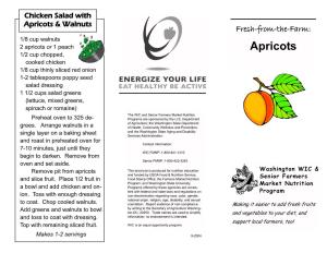 Apricot Brochure