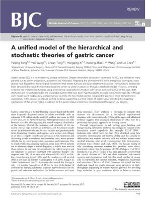 A Unified Model of the Hierarchical and Stochastic Theories of Gastric Cancer