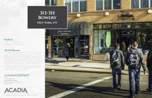 313-315 Bowery Brochure