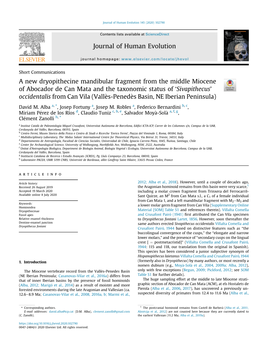 A New Dryopithecine Mandibular Fragment from the Middle Miocene