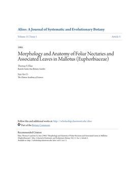 Morphology and Anatomy of Foliar Nectaries and Associated Leaves in Mallotus (Euphorbiaceae) Thomas S