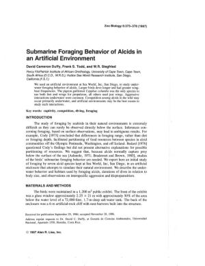 Submarine Foraging Behavior of Alcids in an Artificial Environment