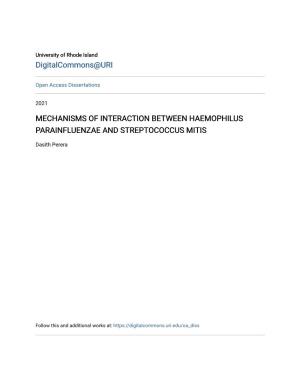 Mechanisms of Interaction Between Haemophilus Parainfluenzae and Streptococcus Mitis