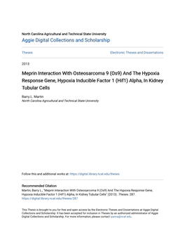Os9) and the Hypoxia Response Gene, Hypoxia Inducible Factor 1 (Hif1) Alpha, in Kidney Tubular Cells