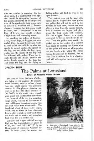 The Palms at Lotusland