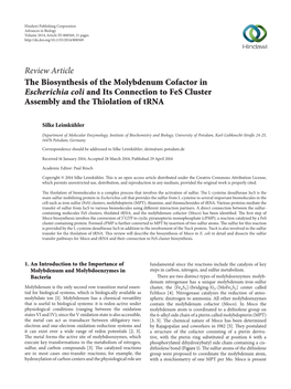 The Biosynthesis of the Molybdenum Cofactor in Escherichia Coli and Its Connection to Fes Cluster Assembly and the Thiolation of Trna