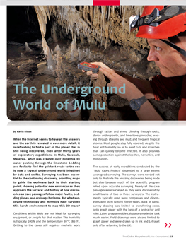 The Underground World of Mulu