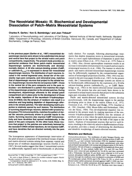 III. Biochemical and Developmental Dissociation of Patch-Matrix Mesostriatal Systems