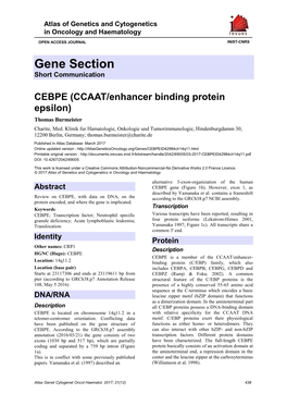 CCAAT/Enhancer Binding Protein Epsilon) Thomas Burmeister Charite, Med