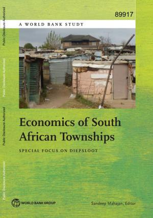 Economics of South African Townships: a Focus on Diepsloot
