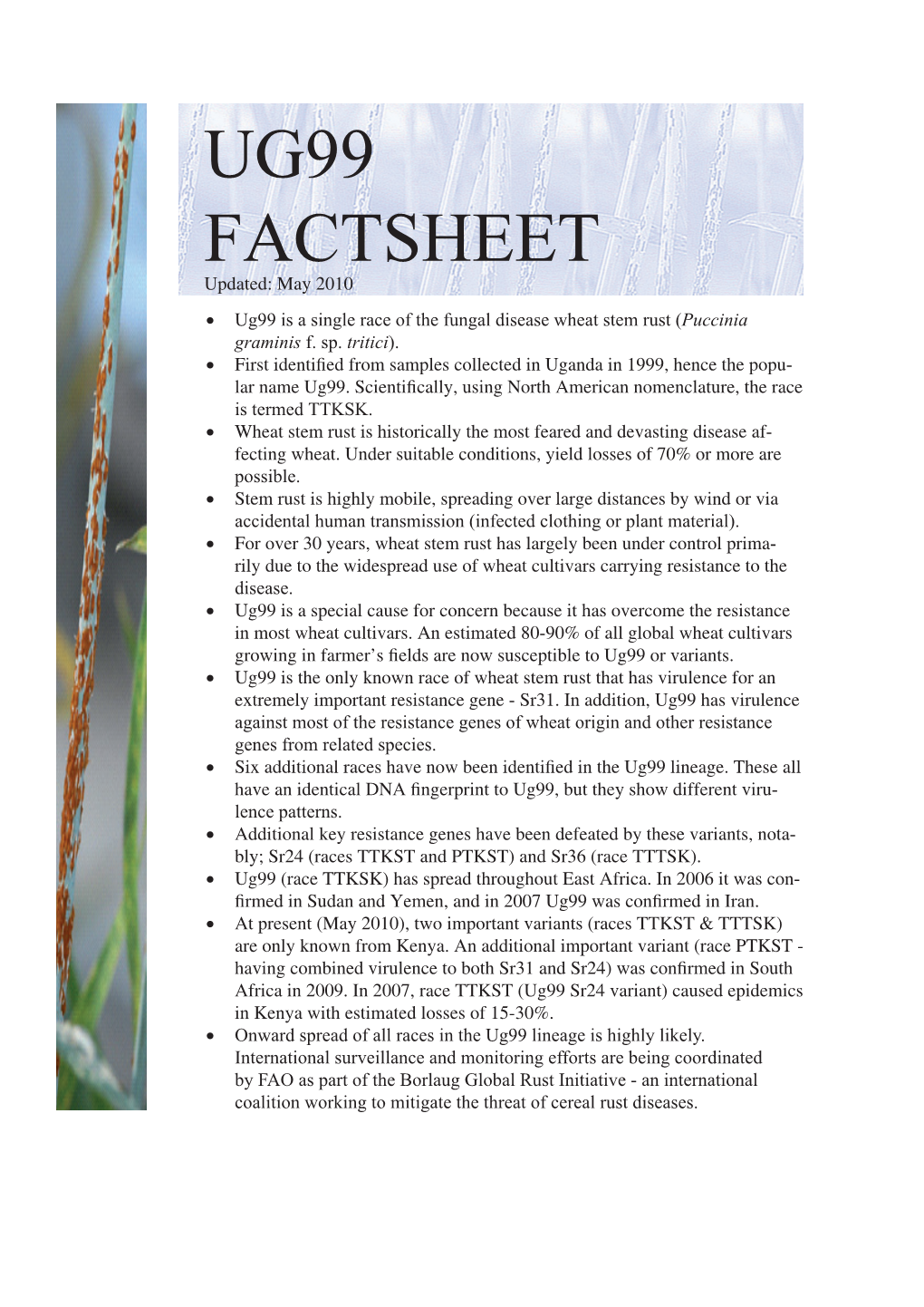 Ug99 Factsheet Updated: May 2010 • Ug99 Is a Single Race of the Fungal Disease Wheat Stem Rust (Puccinia Graminis F