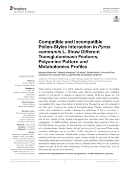Compatible and Incompatible Pollen-Styles Interaction in Pyrus Communis L