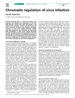 Chromatin Regulation of Virus Infection