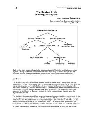 04. the Cardiac Cycle/Wiggers Diagram