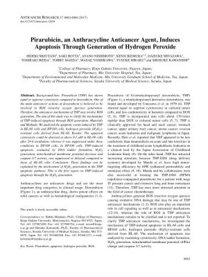 Pirarubicin, an Anthracycline Anticancer Agent, Induces