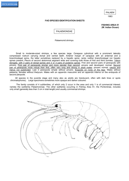 (W. Indian Ocean) PALAEMONIDAE Palaemonid Shrimps Small to Moderat