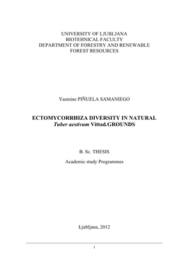 ECTOMYCORRHIZA DIVERSITY in NATURAL Tuber Aestivum Vittad.GROUNDS