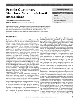 "Protein Quaternary Structure: Subunit&Ndash;Subunit