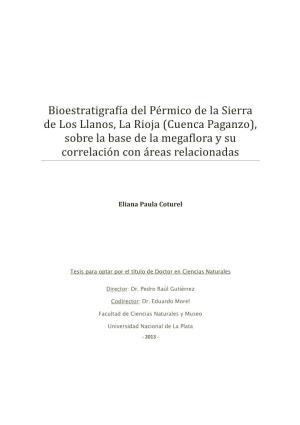 Bioestratigrafía Del Pérmico De La Sierra De Los Llanos, La Rioja (Cuenca Paganzo), Sobre La Base De La Megaflora Y Su Correlación Con Áreas Relacionadas