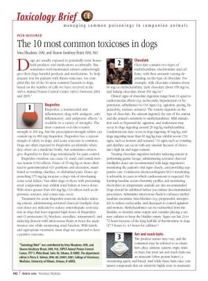 The 10 Most Common Toxicoses in Dogs