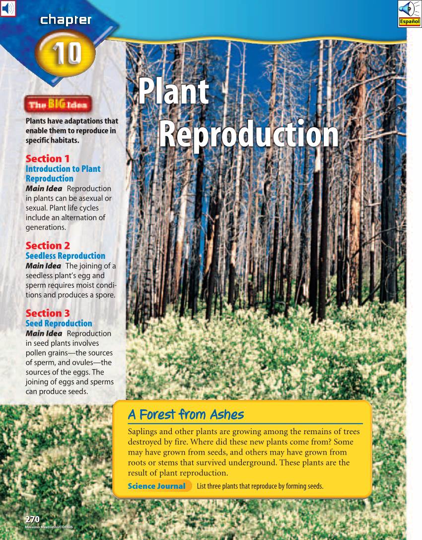 Plant Reproduction Main Idea Reproduction in Plants Can Be Asexual Or Sexual