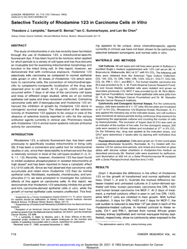 Selective Toxicity of Rhodamine 123 in Carcinoma Cells in Vitro