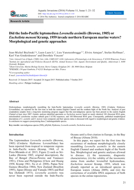Did the Indo-Pacific Leptomedusa Lovenella