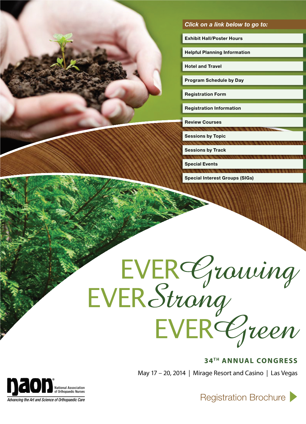 Evergreen Evergrowing Everstrong