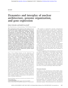 Dynamics and Interplay of Nuclear Architecture, Genome Organization, and Gene Expression