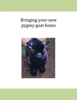 Bringing Your New Pygmy Goat Home