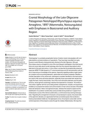 (Mammalia, Notoungulata) with Emphases in Basicranial and Auditory Region