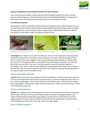 1 Summer Smorgasbord of Environmental Learning: the Insect