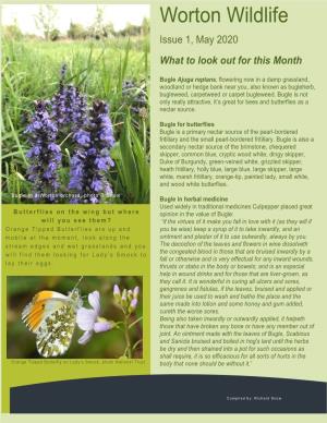 Worton Wildlife Issue 1, May 2020 What to Look out for This Month