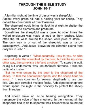 Through the Bible Study John 10-11