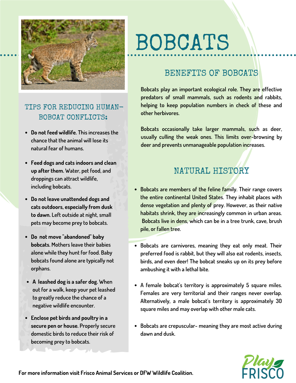 Urban Wildlife Fact Sheets