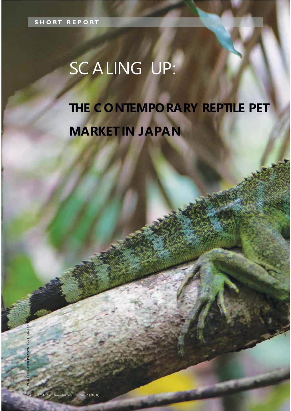 Scaling Up: the Contemporary Reptile Pet Market in Japan